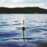 Vibrant fishing float gently resting on a serene blue water surface, ideal for travel and nature themes.